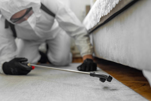 Professional Bed Bug Control technician working in Forrest, IL