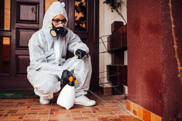 Reliable Bed Bug Control contractor in Forrest, IL by Nex Pest Control